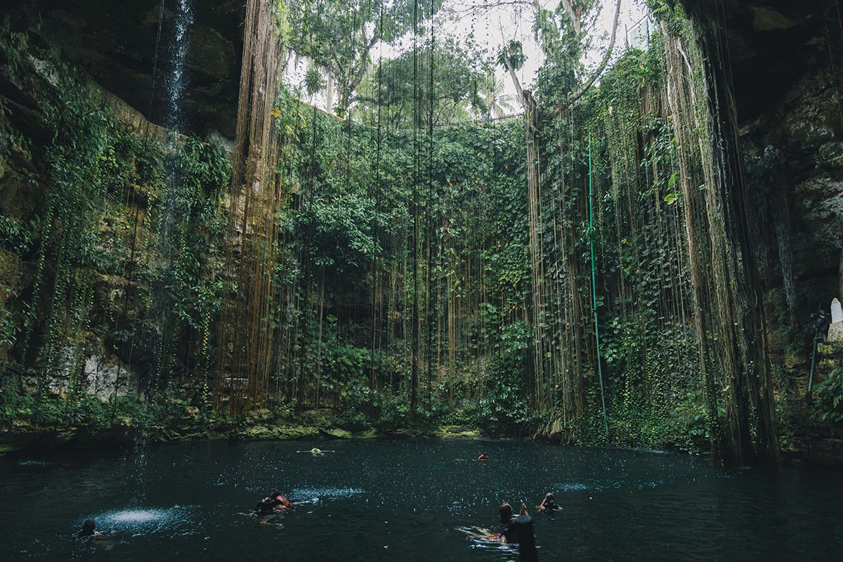 Banner de Cenotes: belezas naturais e culturais únicas
